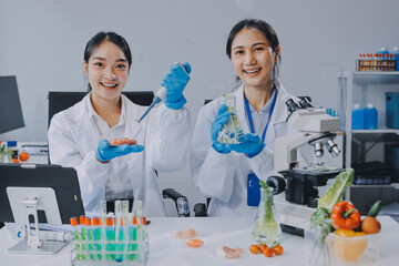 Chemical Laboratory of the Food supply . Food in laboratory, dna modify .GMO Genetically modified...