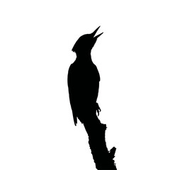 Solid black silhouette of a woodpecker drumming