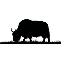 Solid black silhouette of a yak grazing