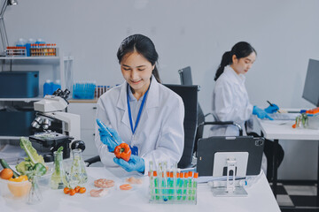 Chemical Laboratory of the Food supply . Food in laboratory, dna modify .GMO Genetically modified...