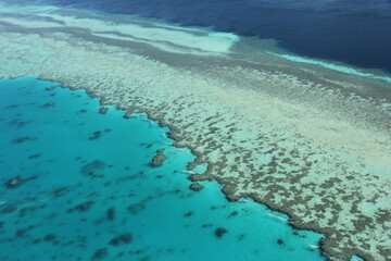 Great Barrier Reef Whitsundays Australia