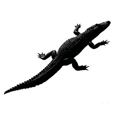 Solid black silhouette of an alligator basking