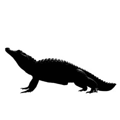 Solid black silhouette of an alligator snapping