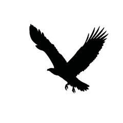 Obraz premium Solid black silhouette of an eagle flying