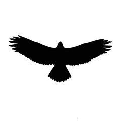 Solid black silhouette of an eagle landing