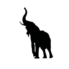 Solid black silhouette of an elephant trumpeting