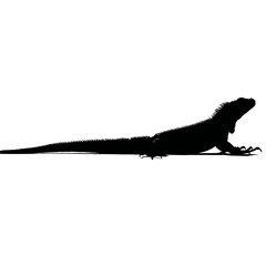 Solid black silhouette of an iguana resting