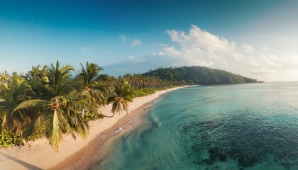 Fototapeta premium cinematic scene of landscape tropical beach with palm trees