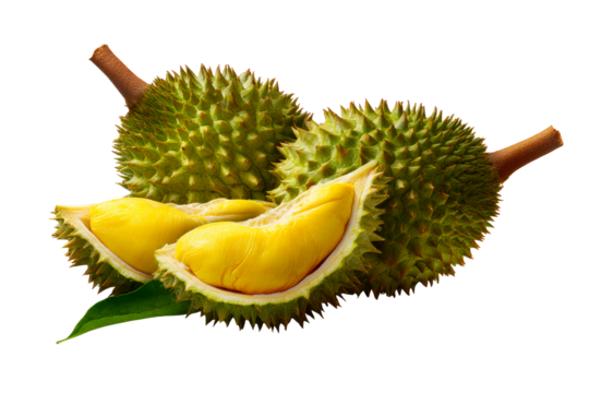 Fresh durian fruit halves with green spiky shells displayed