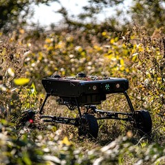 Invasive species control through robotics using autonomous robots equipped with AI to detect, track, and eradicate invasive species, protecting native biodiversity and ecosystems.