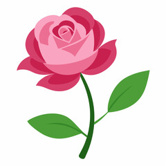 Beautiful pink rose flower with green leaves, illustrated in elegant vector style, perfect for floral-themed designs and digital art projects.