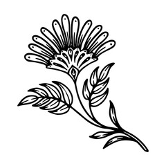 floral ornament illustration