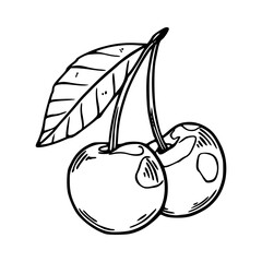 two cherries with leaf outline illustration