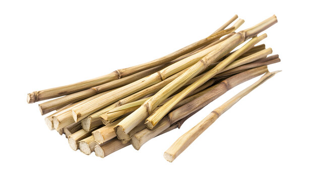 Fresh Lemongrass Stalks Isolated on White Background