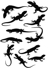 Naklejka premium Silhouette Lizards: A Nocturnal Dance