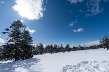 厳冬期の北横岳