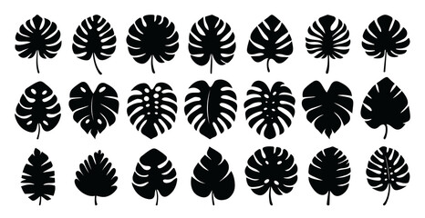 Simple black silhouette vector illustration monstera leaf. Set of exotic leaves. Vector silhouettes of monstera tropical leaves. Simple, minimalist style. Set for summer design, eco-friendly branding