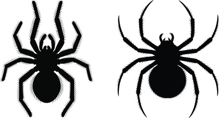 Black Silhouette Spiders Set with Different Leg Styles Vector Icon
