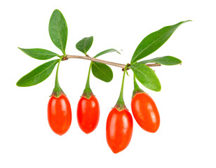 Goji berry twig with ripe fruits and green leaves isolated on transparent background