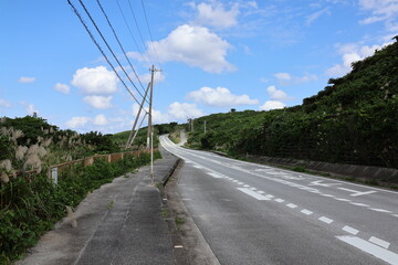 Fototapeta premium 沖縄最北にある北国小学校前バス停のある一本道