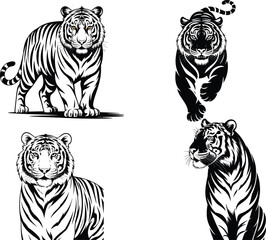 Roaring Tiger Vector Illustration – Bold Wildlife Animal Art for Tattoos & Logos,Tiger vector with white background