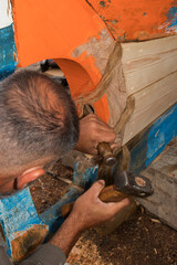 Master ship's carpenter (