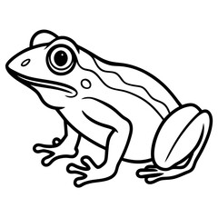 Elegant Frog Line Art in Viridian
