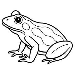 Elegant Frog Line Art in Viridian