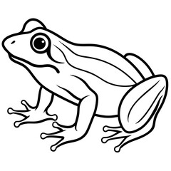 Elegant Frog Line Art in Viridian