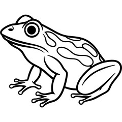 Elegant Frog Line Art in Viridian