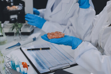 Chemical Laboratory of the Food supply . Food in laboratory, dna modify .GMO Genetically modified...