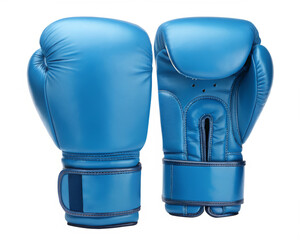 Blue boxing gloves illustration
