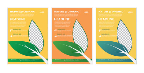  a bundle of 3 template agricuture  flyer design, in blue color, and modern design,marketing,medical proposal, promotion, advertise, publication and editable vector template design