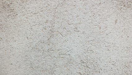 Light background with plaster texture and subtle natural patterns on the wall surface and soft neutral tones.
