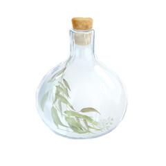 A clear glass flask with herbs inside. Watercolor illustration. A round bottle with a stopper, isolated on a white background. For aromatherapy, experiments, alchemy, magic and witchcraft