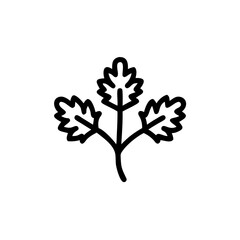 Obraz premium Cilantro leaves illustration in simple line art style 