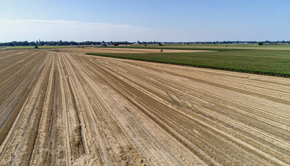 Fototapeta premium Drought-Stricken Farmland Under Extreme Summer Heatwave