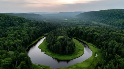 sunset light reflecting over calm forest wetland