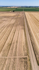 Fototapeta premium Drought-Stricken Farmland Under Extreme Summer Heatwave