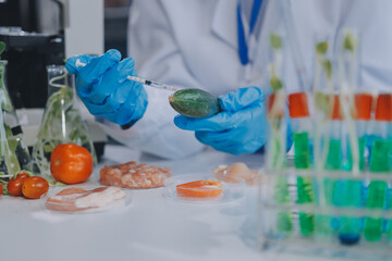 Chemical Laboratory of the Food supply . Food in laboratory, dna modify .GMO Genetically modified...
