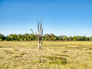 Verg&auml;nglichkeit