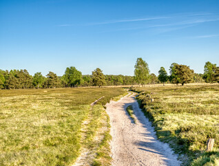 Wandern in der L&uuml;neburger Heide