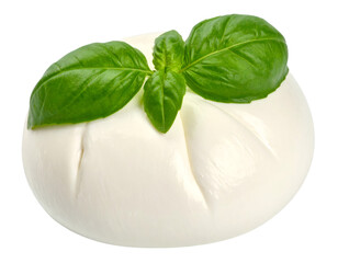 Fresh burrata cheese with basil leaves on transparent background
