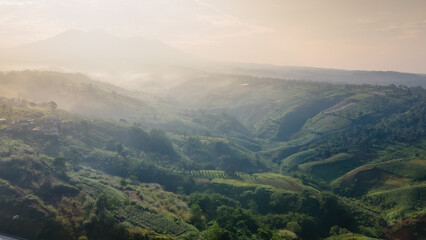 Fototapeta premium aerial lasnkap of morning Light Over Majestic Mountain Hills
