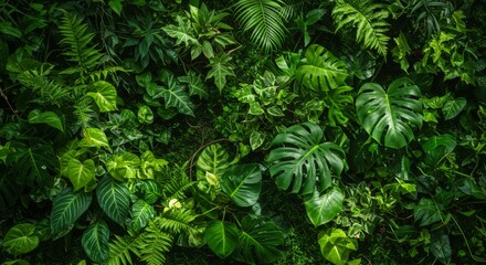 Lush Green Tropical Foliage Wall Texture