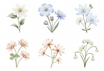 Fototapeta premium Delicate floral illustrations capturing spring blooms with varying colors and shapes