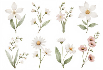 Obraz premium Collection of watercolor flowers showcasing various types and colors in a delicate arrangement