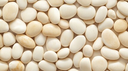 Close-up view of many fresh, dry, uncooked, large white lima beans. It shows organic food for sale, or a healthy nutrition themed backdrop.