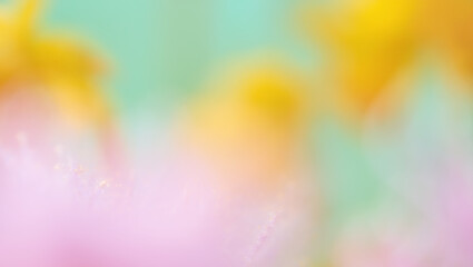 Abstract Pastel Flower Bloom Soft Focus Photography