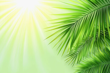 Obraz premium Majestic palm tree with sunlight shining through its leaves creating a tropical paradise ambiance